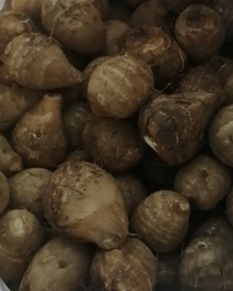 芋头，大果，中果，小果