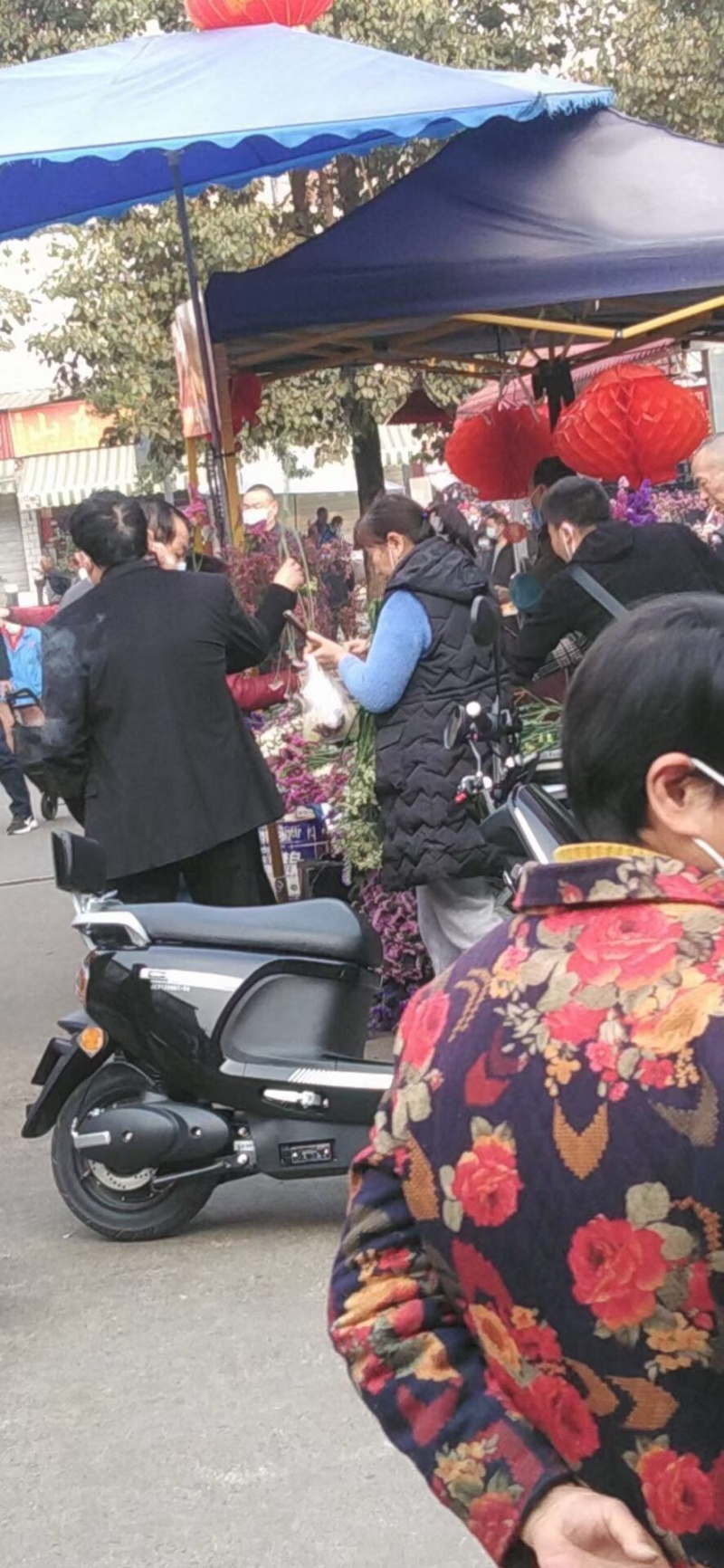 云南十八怪，鲜花🌺🌺🌺论斤卖，鲜花只做昆明花🌸