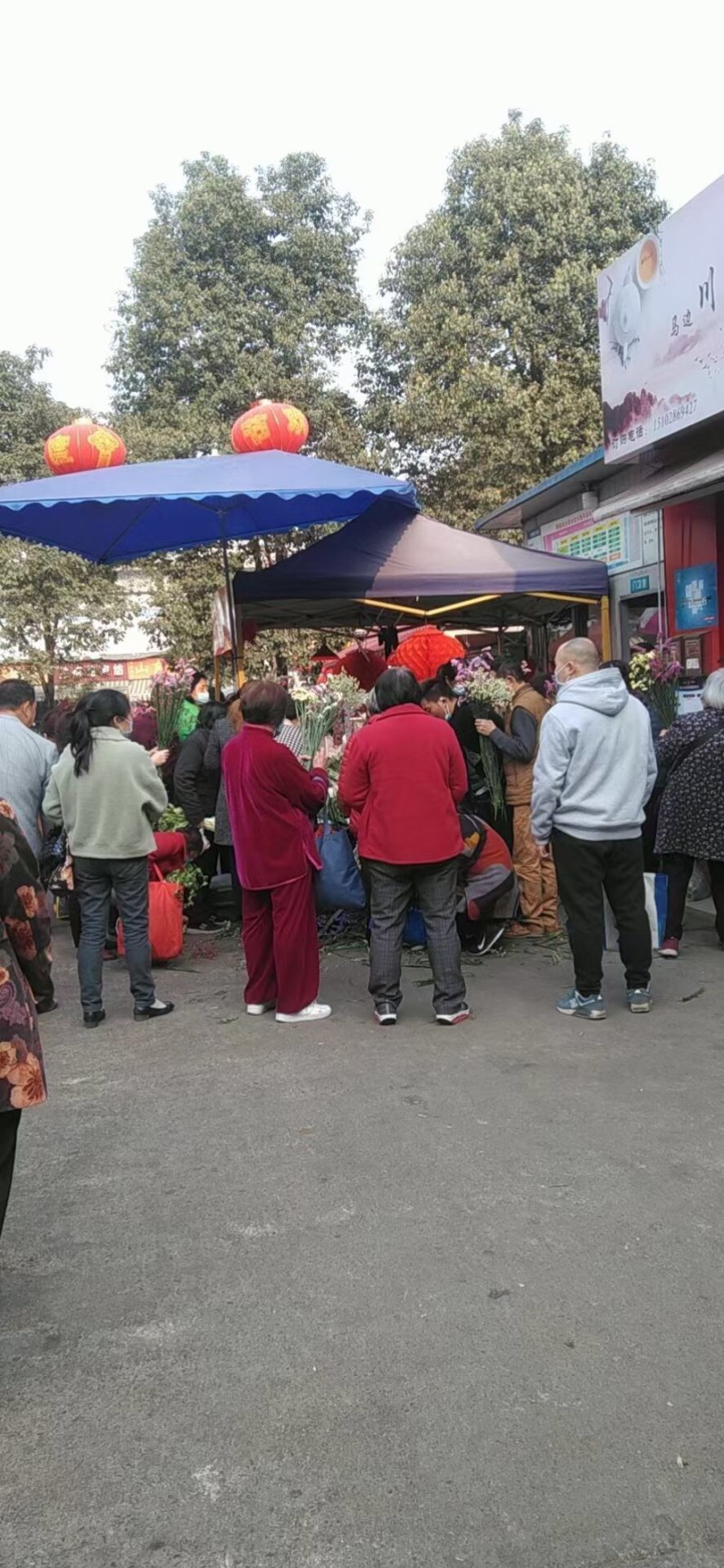 云南十八怪，鲜花🌺🌺🌺论斤卖，鲜花只做昆明花🌸