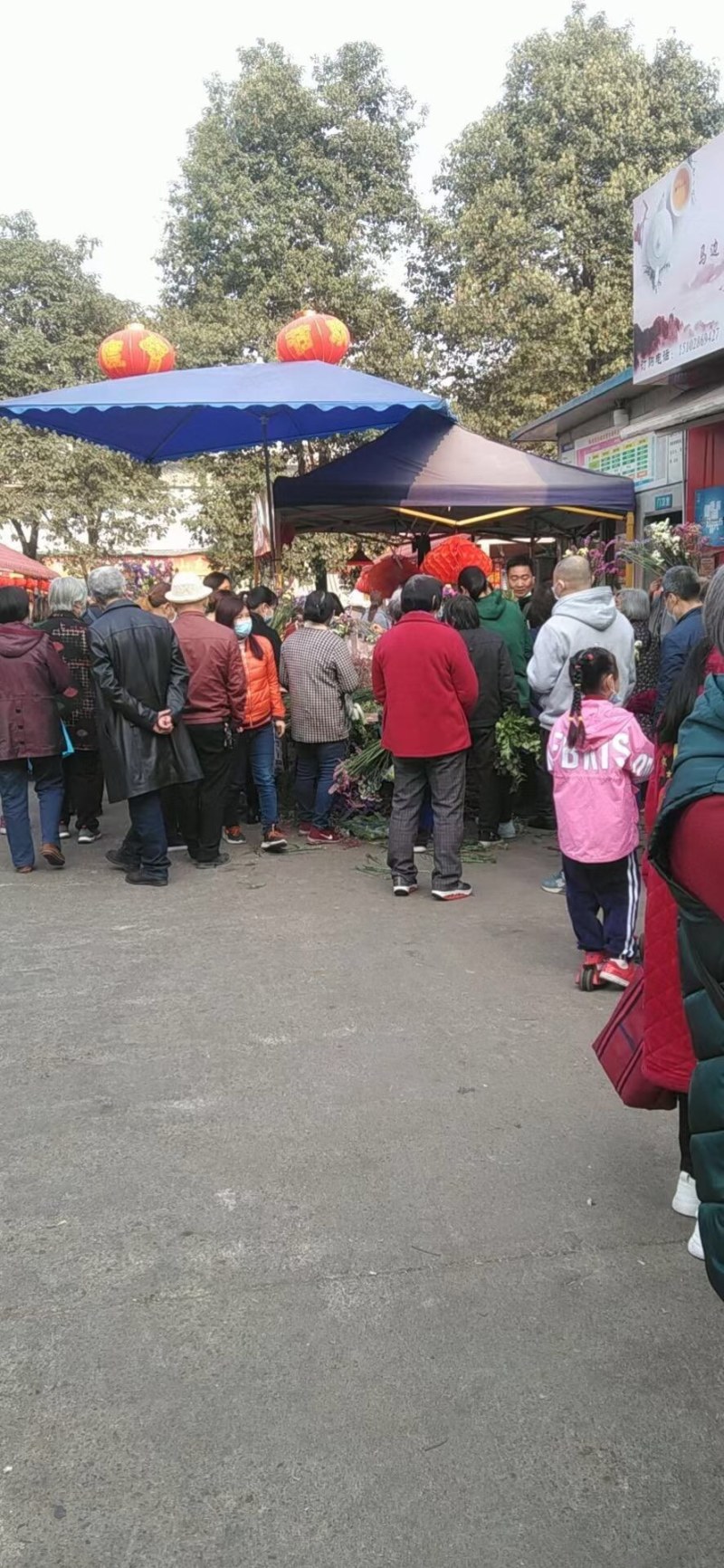 云南十八怪，鲜花🌺🌺🌺论斤卖，鲜花只做昆明花🌸