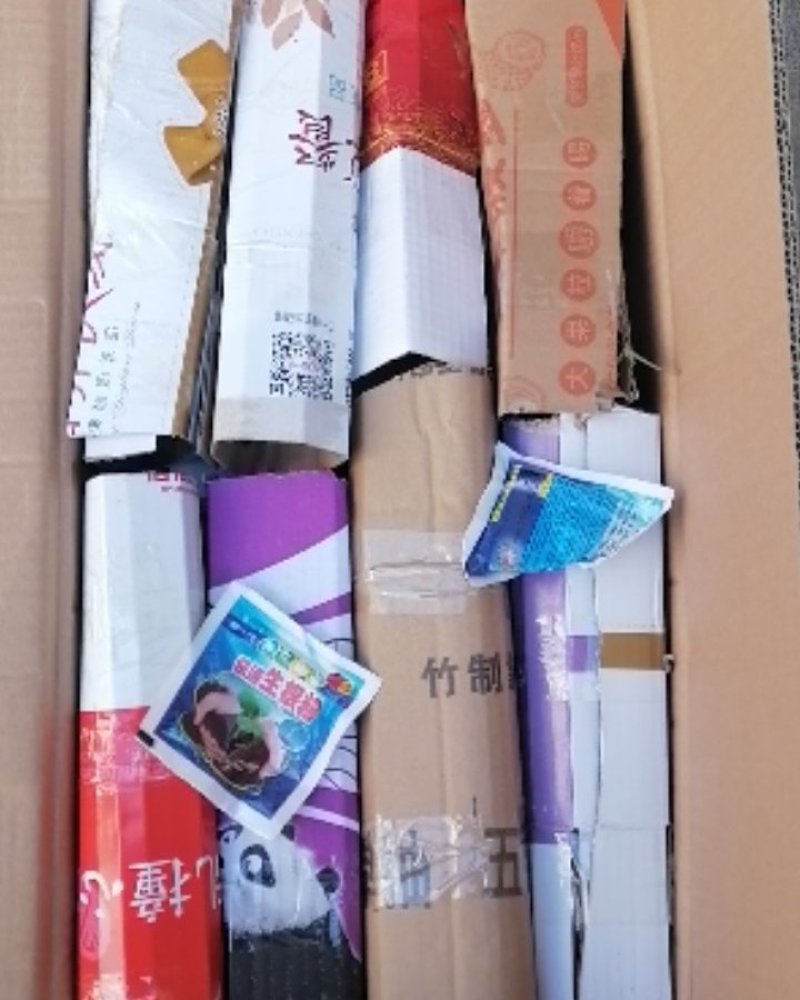 （木姜子苗）现挖现卖品种纯正裸根袋苗都有