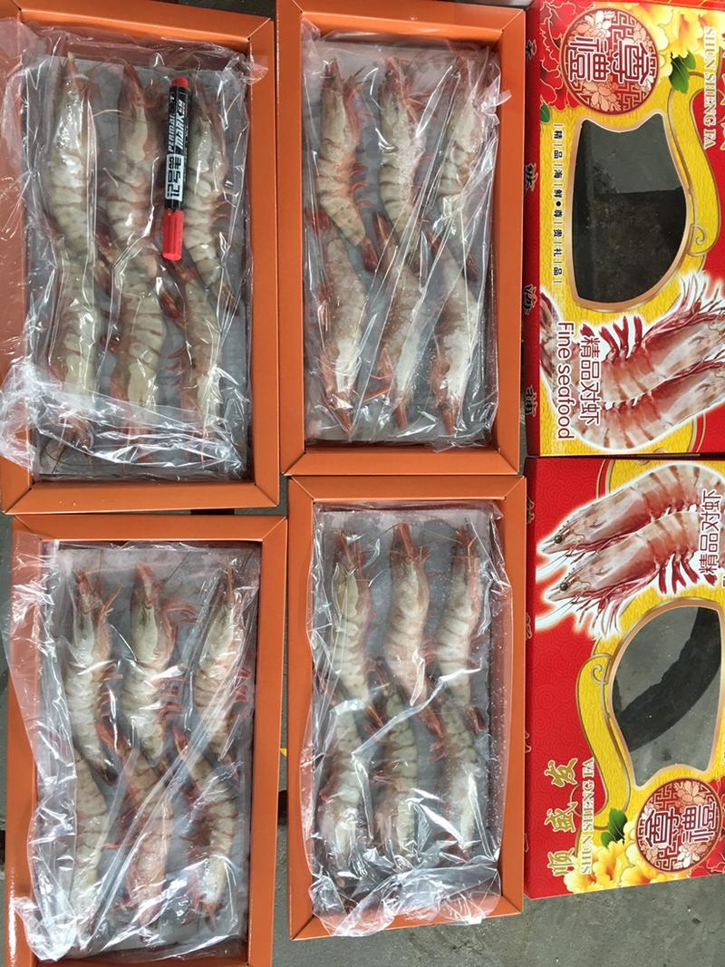 【产地直供】大黑虎虾6头装代发货，550克左右