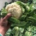 203实花菜花，打包装，1斤起步3斤