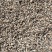 云南文山三七小三七籽条足干小三七生洗干洗都有货