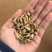 云南文山三七小三七籽条足干小三七生洗干洗都有货