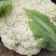 兰州高原有机花菜