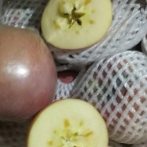 冷库冰糖心红富士苹果开库