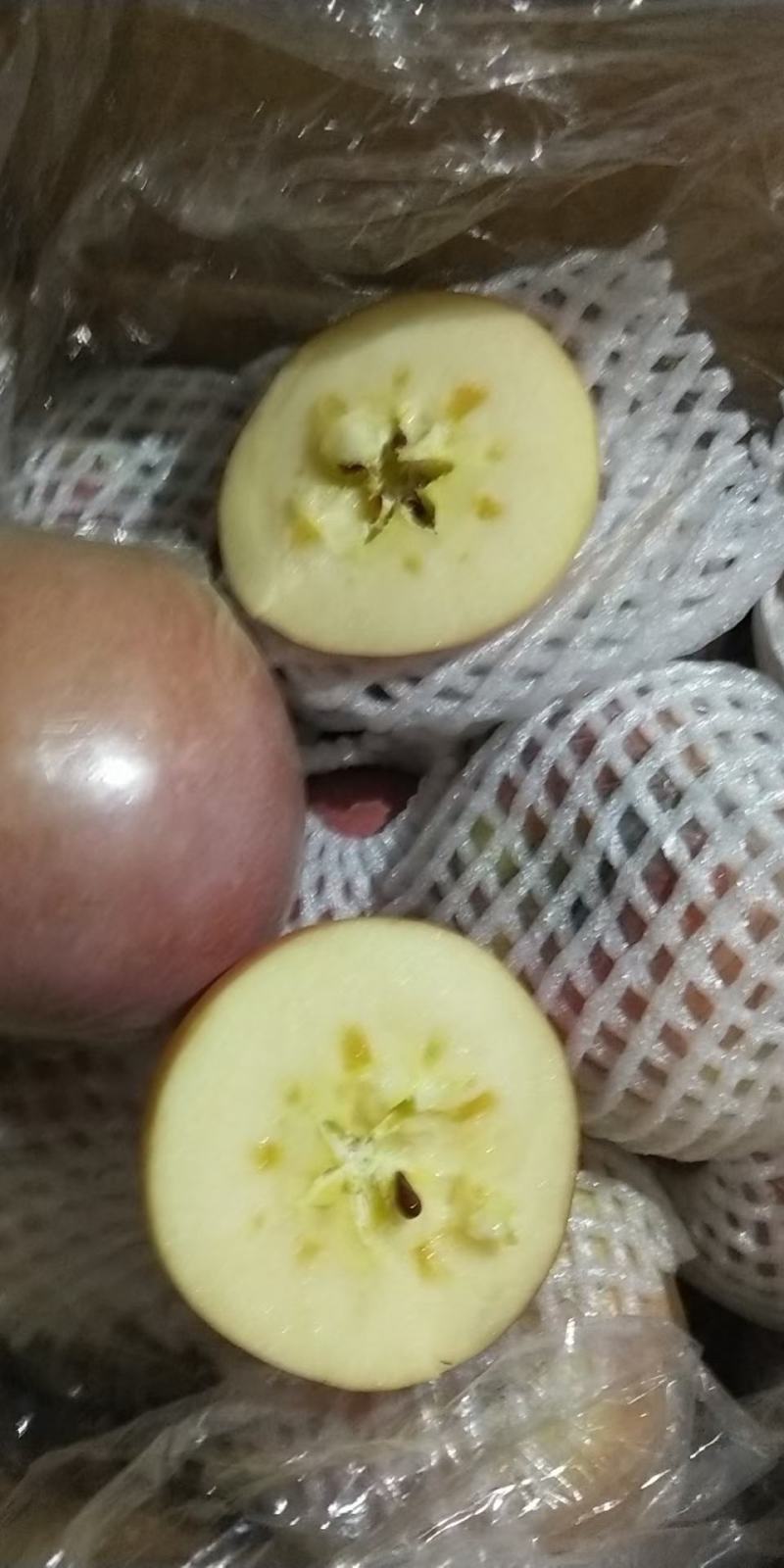 冷库冰糖心红富士苹果开库