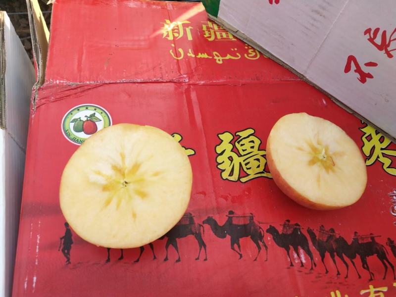 冷库冰糖心红富士苹果开库