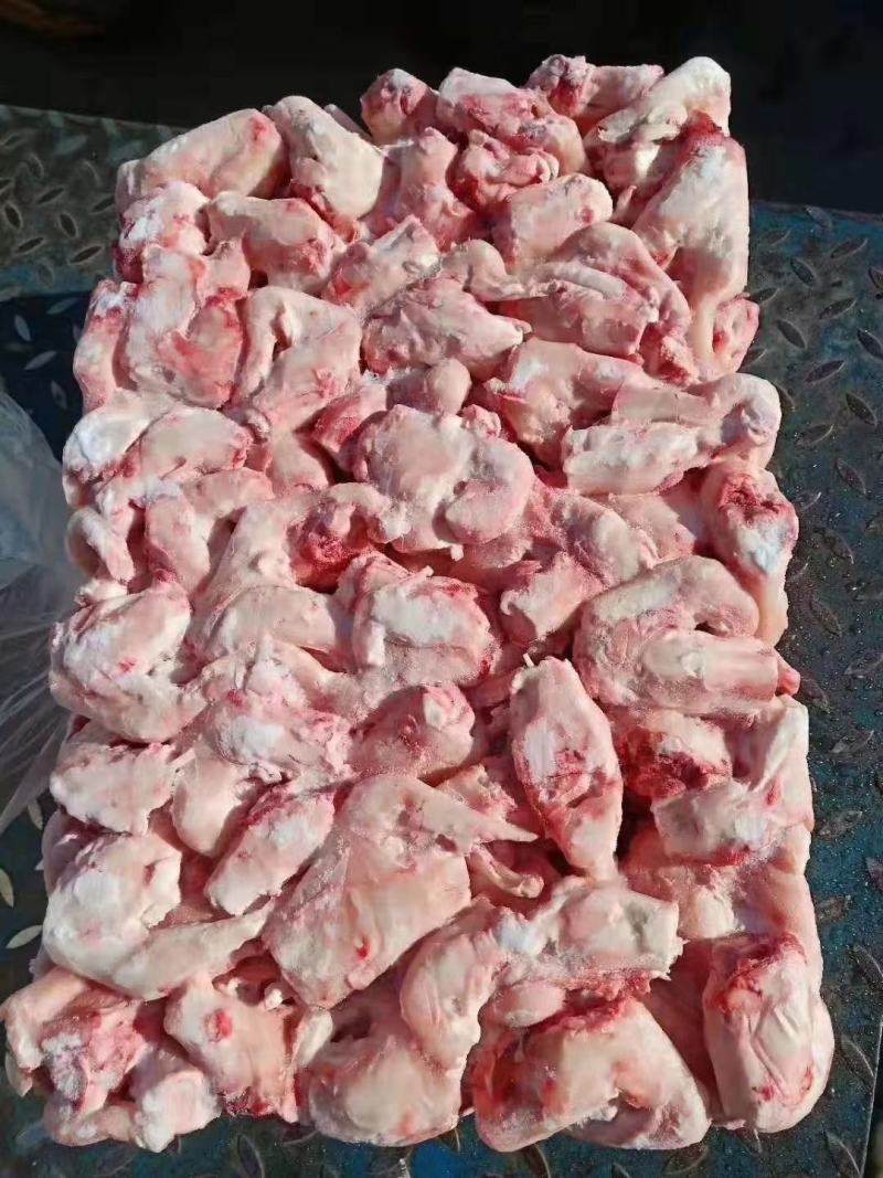 内蒙古锡林郭勒草原羊拐筋，实图拍摄，筋肠带肉带骨髓。