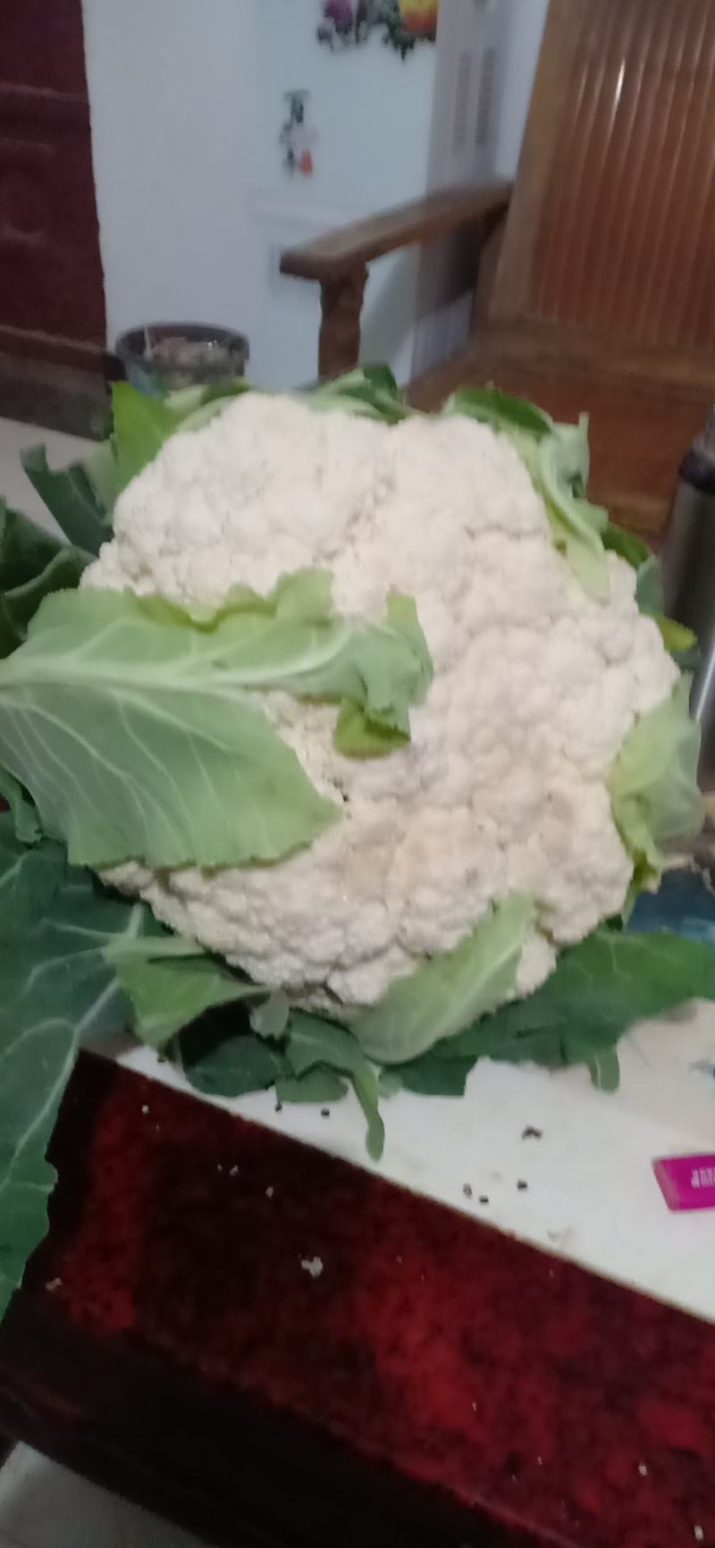 我们经营有机花大量上市了