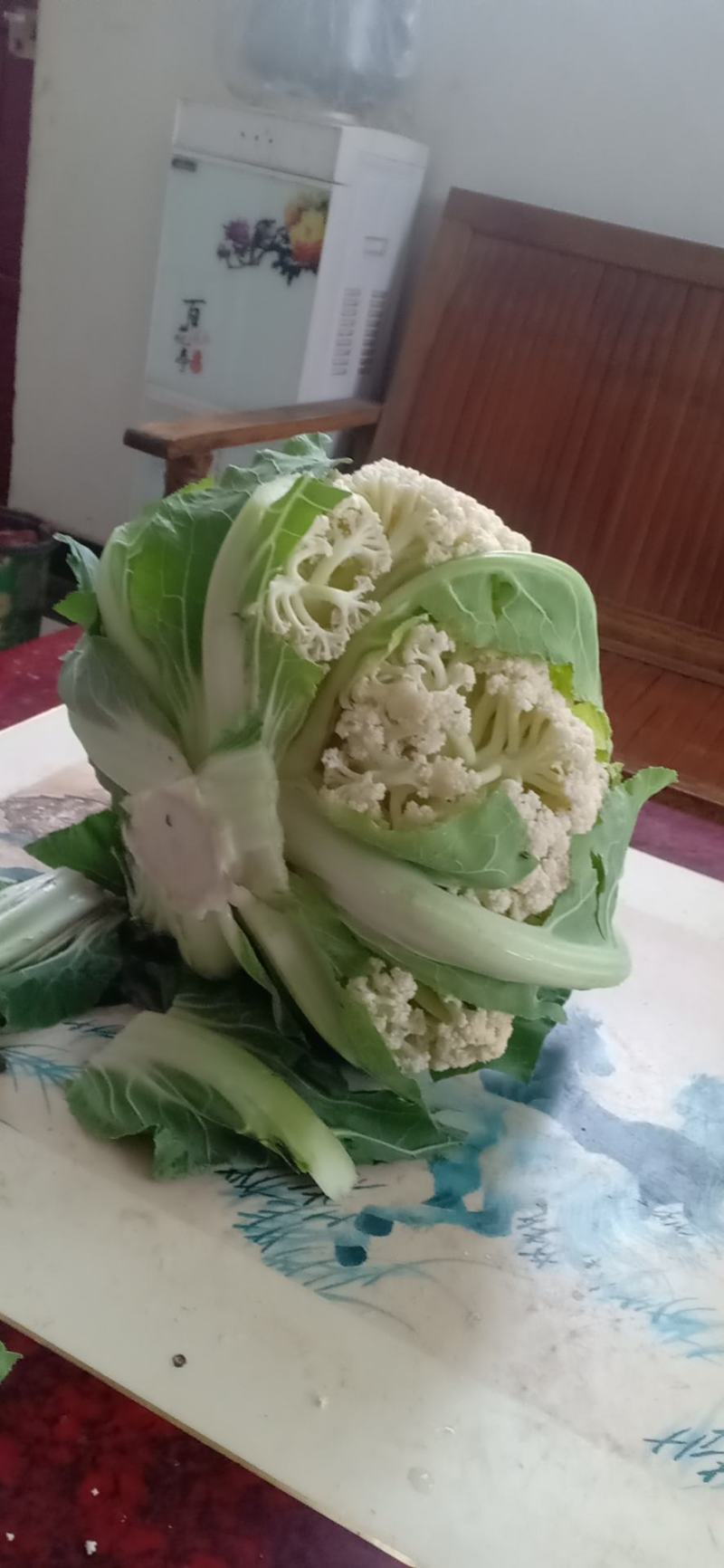 我们经营有机花大量上市了