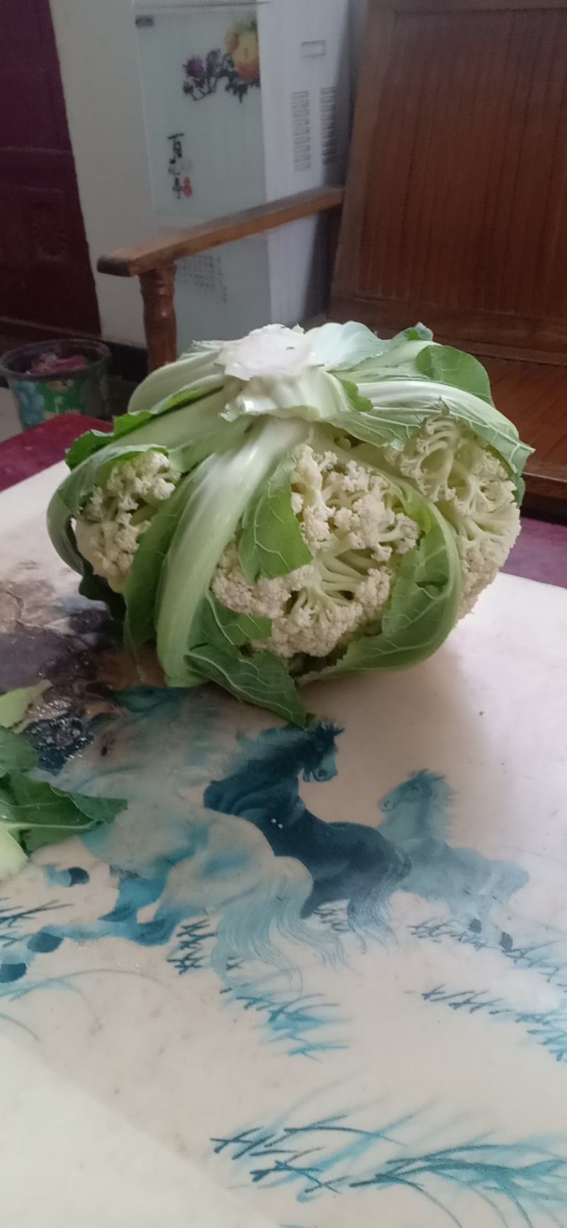 我们经营有机花大量上市了