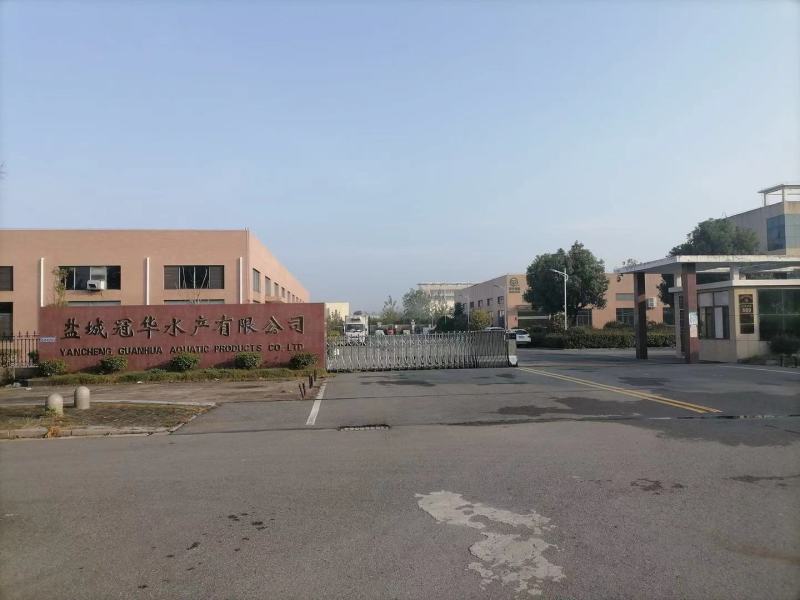 免浆巴沙鱼，原产地缅甸湄公河，肉质鲜嫩，刺少