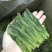 2024新茶【太平猴魁】兰花香味口感饱满香甜。