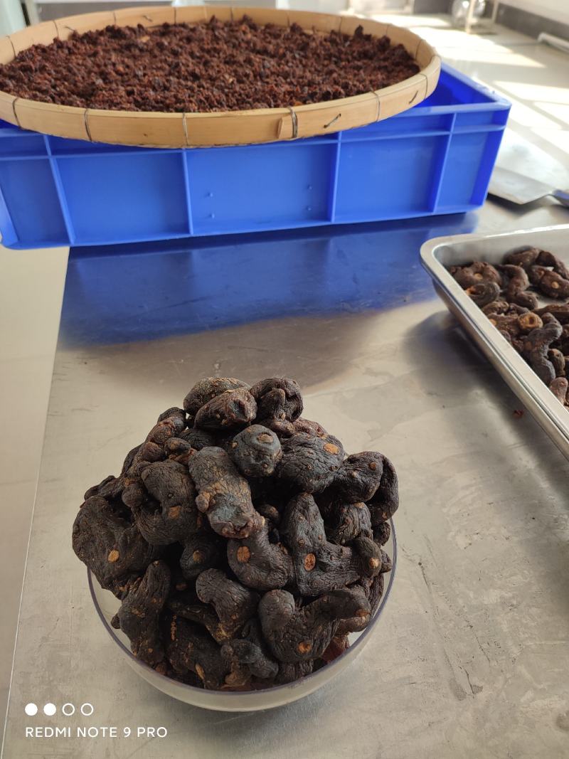 鹿帅仁牌黄精植物草本营养冲泡茶！