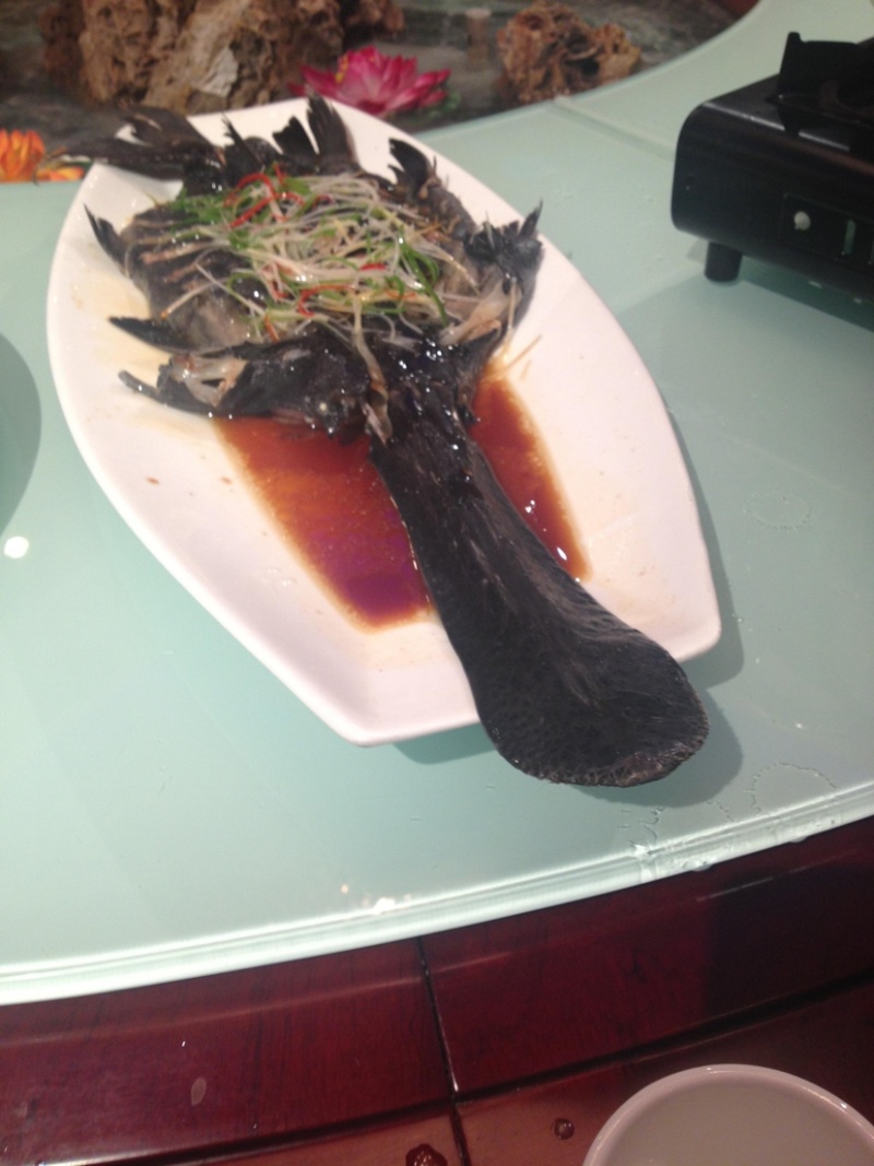 湖北荆州鸭嘴鱼，小龙虾黑鱼