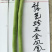 翠绿油绿长豆角豇豆种子珍玉金凤凰条长90厘米不鼓籽