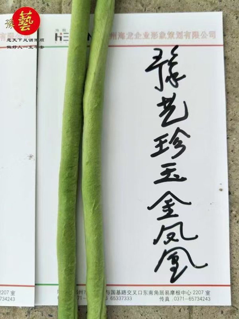 翠绿油绿长豆角豇豆种子珍玉金凤凰条长90厘米不鼓籽
