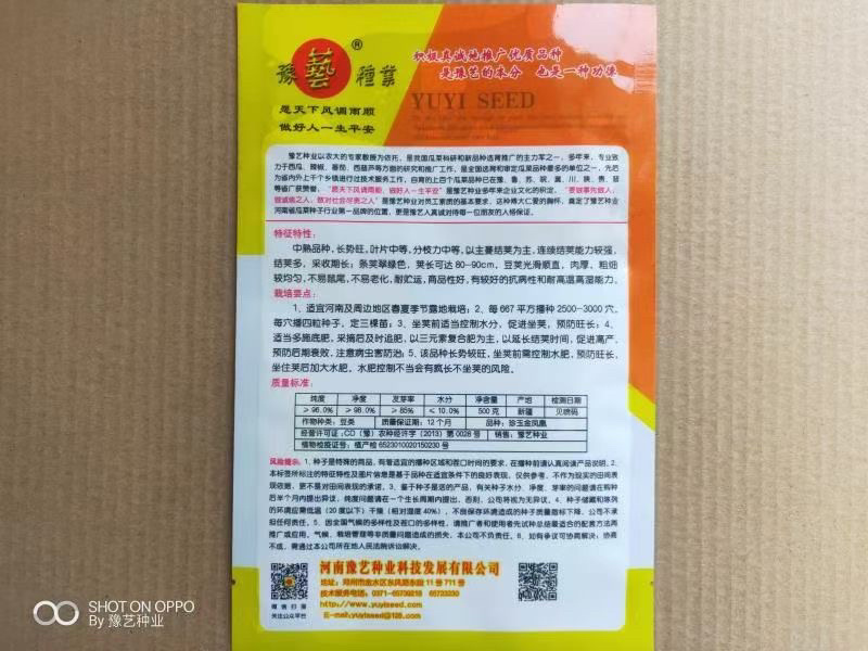 翠绿油绿长豆角豇豆种子珍玉金凤凰条长90厘米不鼓籽