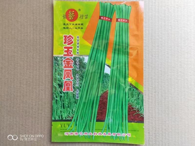 翠绿油绿长豆角豇豆种子珍玉金凤凰条长90厘米不鼓籽