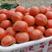 大红西红柿，产地云南昆明东川