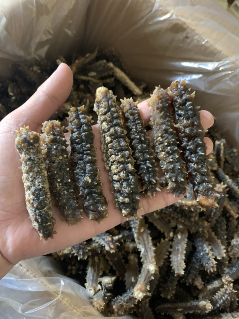 印尼原色手工刺王参肉厚电商专供货（欢迎有实力老板详谈）