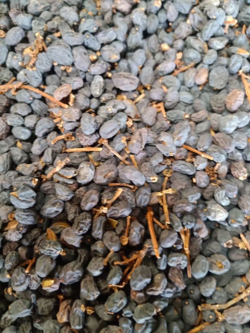 女贞子五十吨后期圆统货出售，杂质少，原装货，欢迎订购