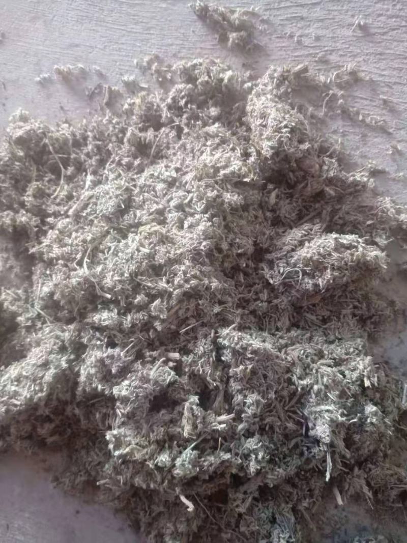 茵陈切片陈货出售，货干无杂志，可兽用，另出售鲜茵陈