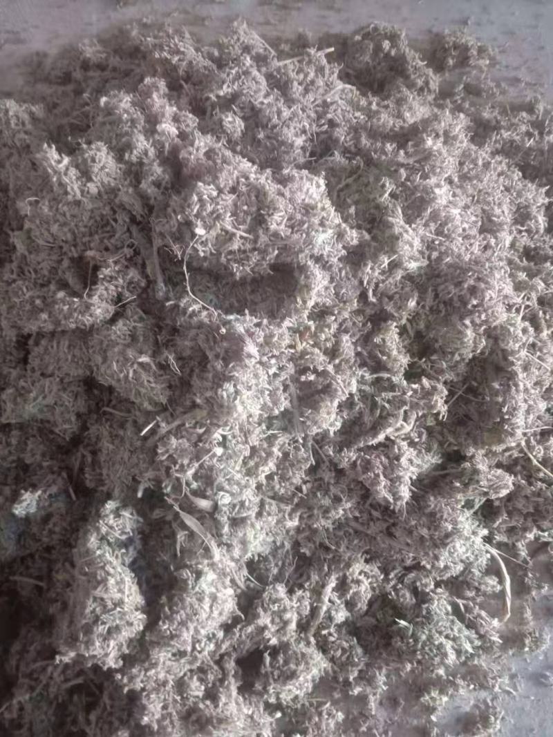 茵陈切片陈货出售，货干无杂志，可兽用，另出售鲜茵陈