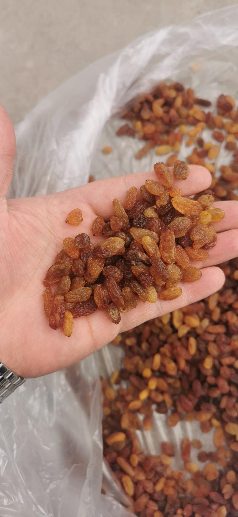 精品免洗小颗粒红提干新疆吐鲁番直发-代办代收代发