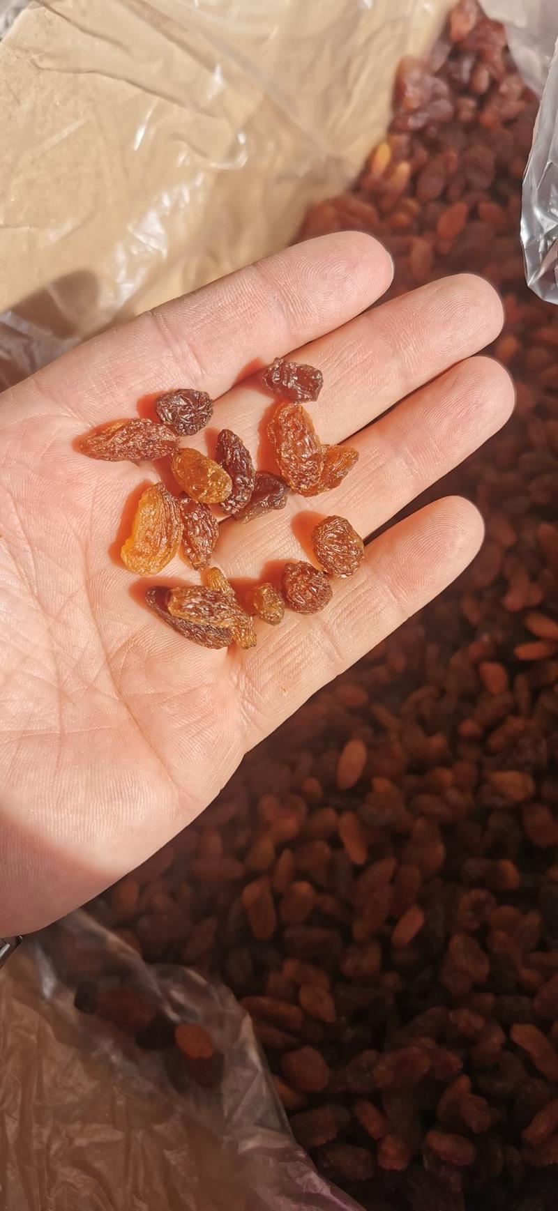 精品免洗小颗粒红提干新疆吐鲁番直发-代办代收代发