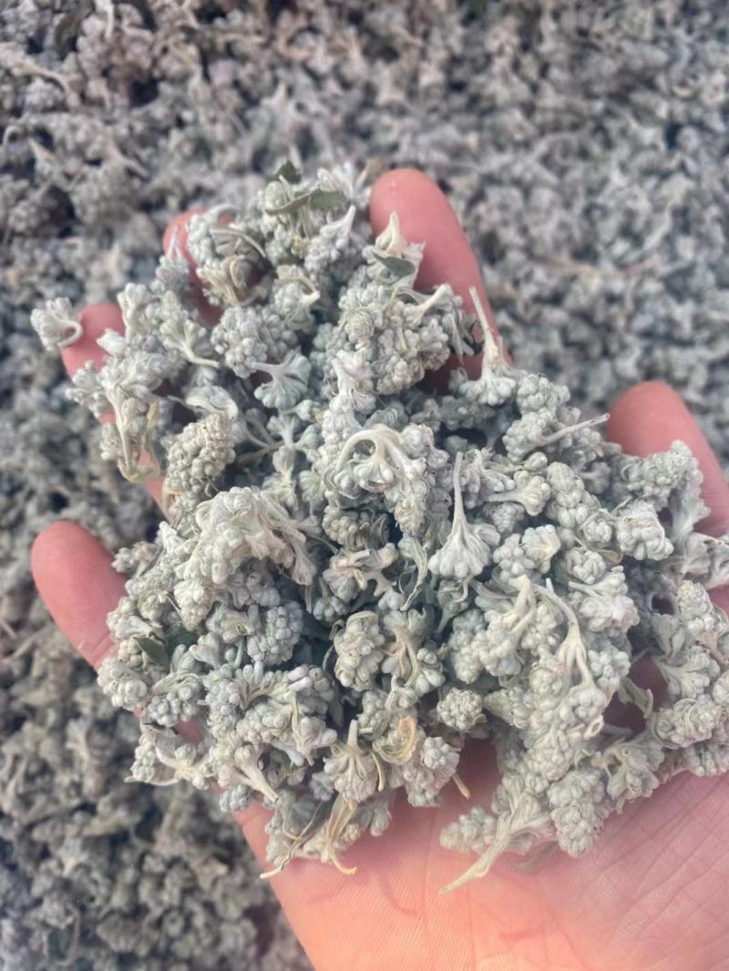 密蒙花，正品野生蒙花质量保证，经营各种中药材欢迎咨询合作