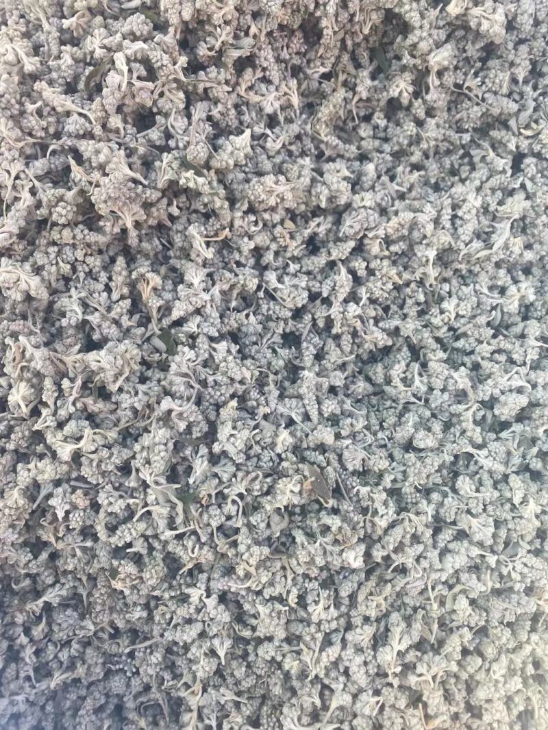 密蒙花，正品野生蒙花质量保证，经营各种中药材欢迎咨询合作