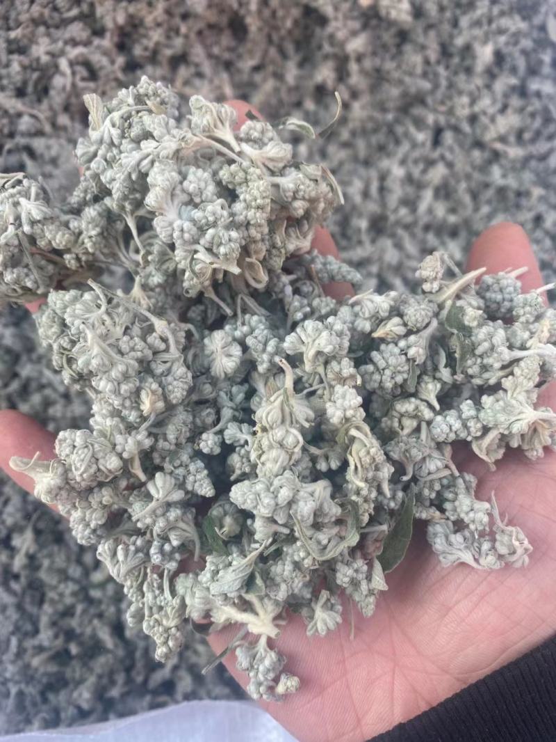 密蒙花，正品野生蒙花质量保证，经营各种中药材欢迎咨询合作