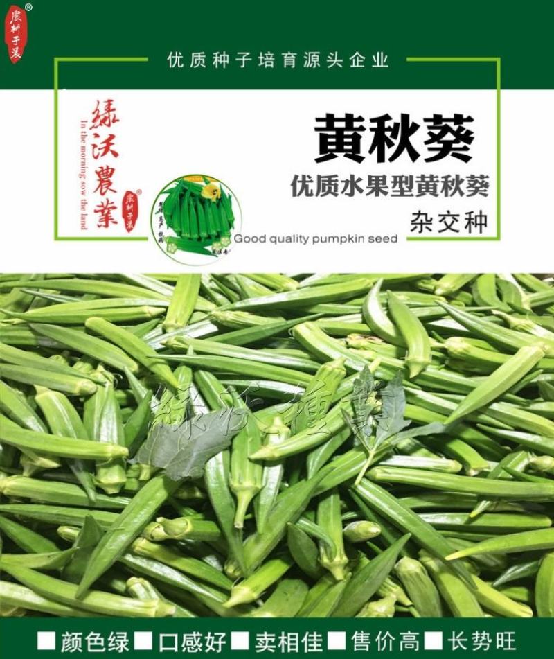 高端黄秋葵种子高产油亮绿长约12厘米左右