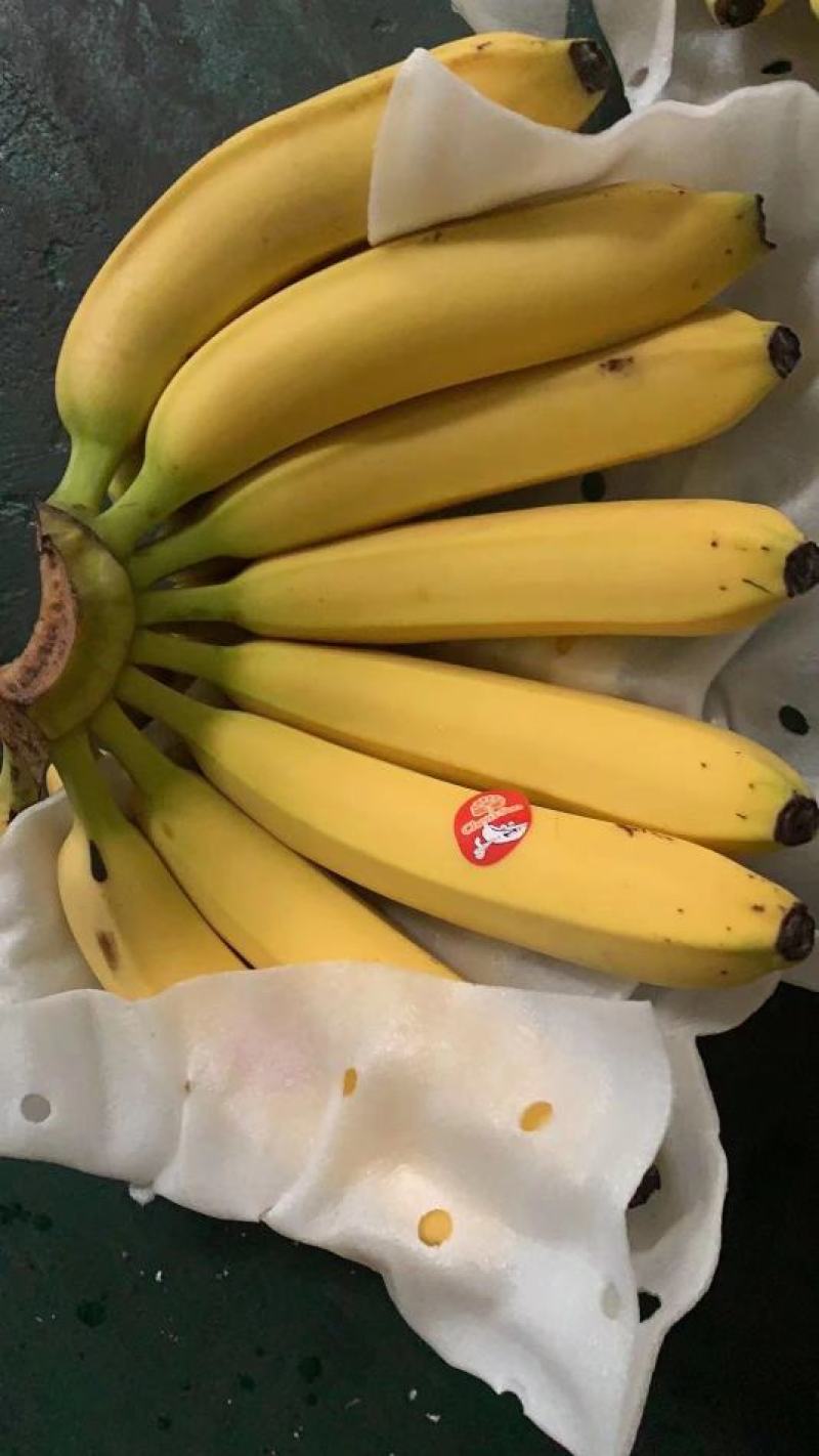 进口香蕉不黑心不硬心