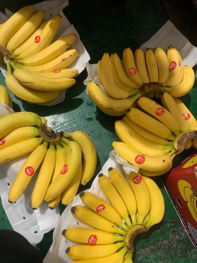 进口香蕉不黑心不硬心