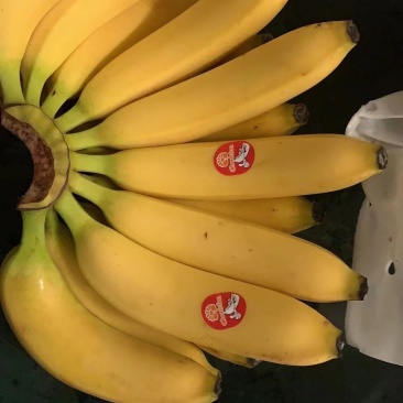 进口香蕉不黑心不硬心