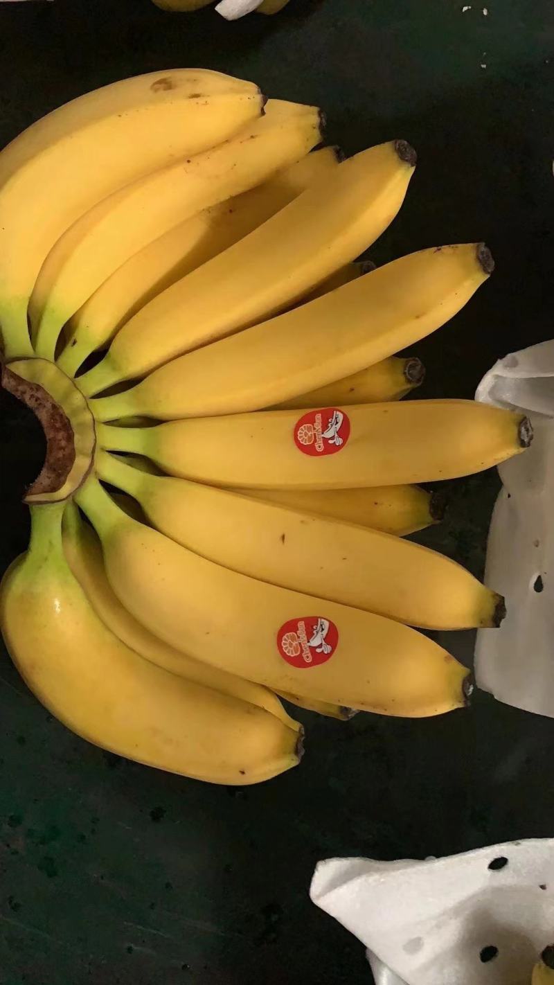 进口香蕉不黑心不硬心