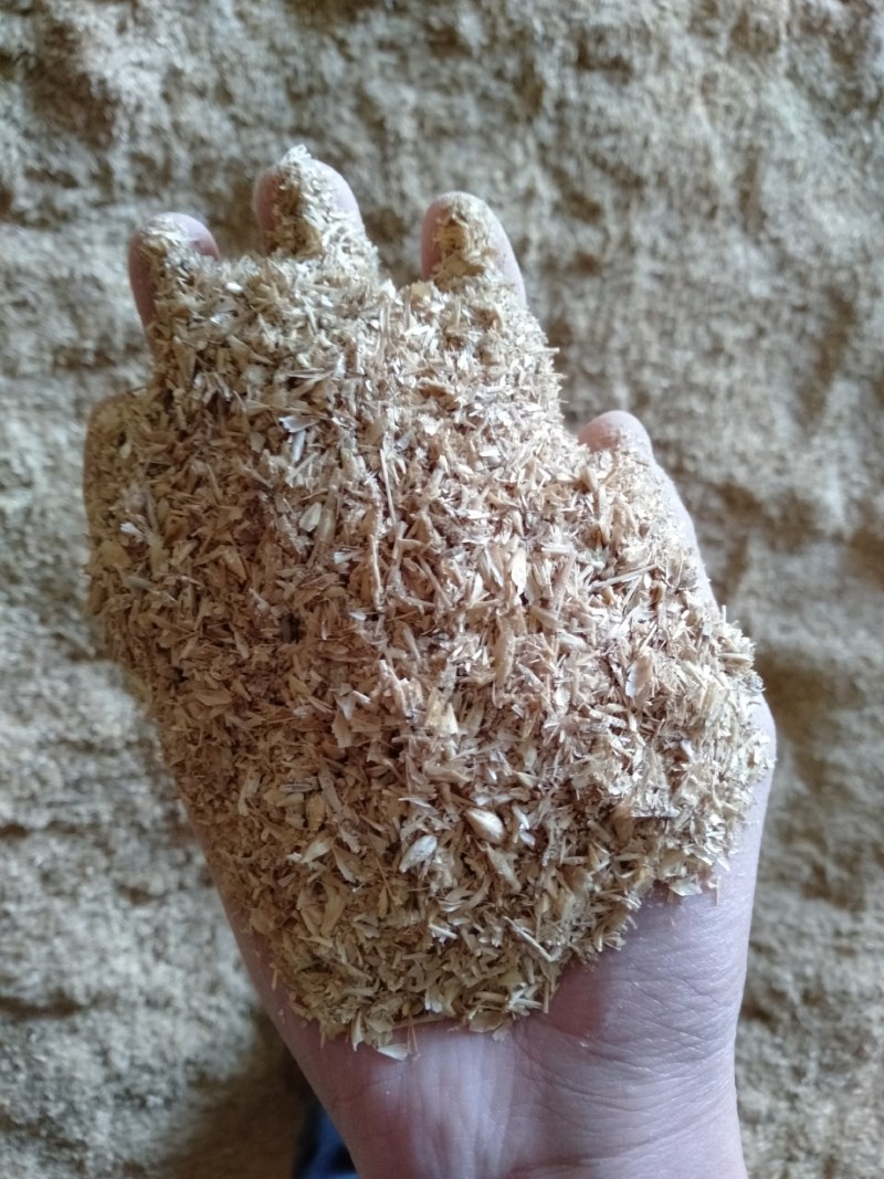 中粮生熟混合大麦糠，适合牛羊，蛋白10以上现货供应