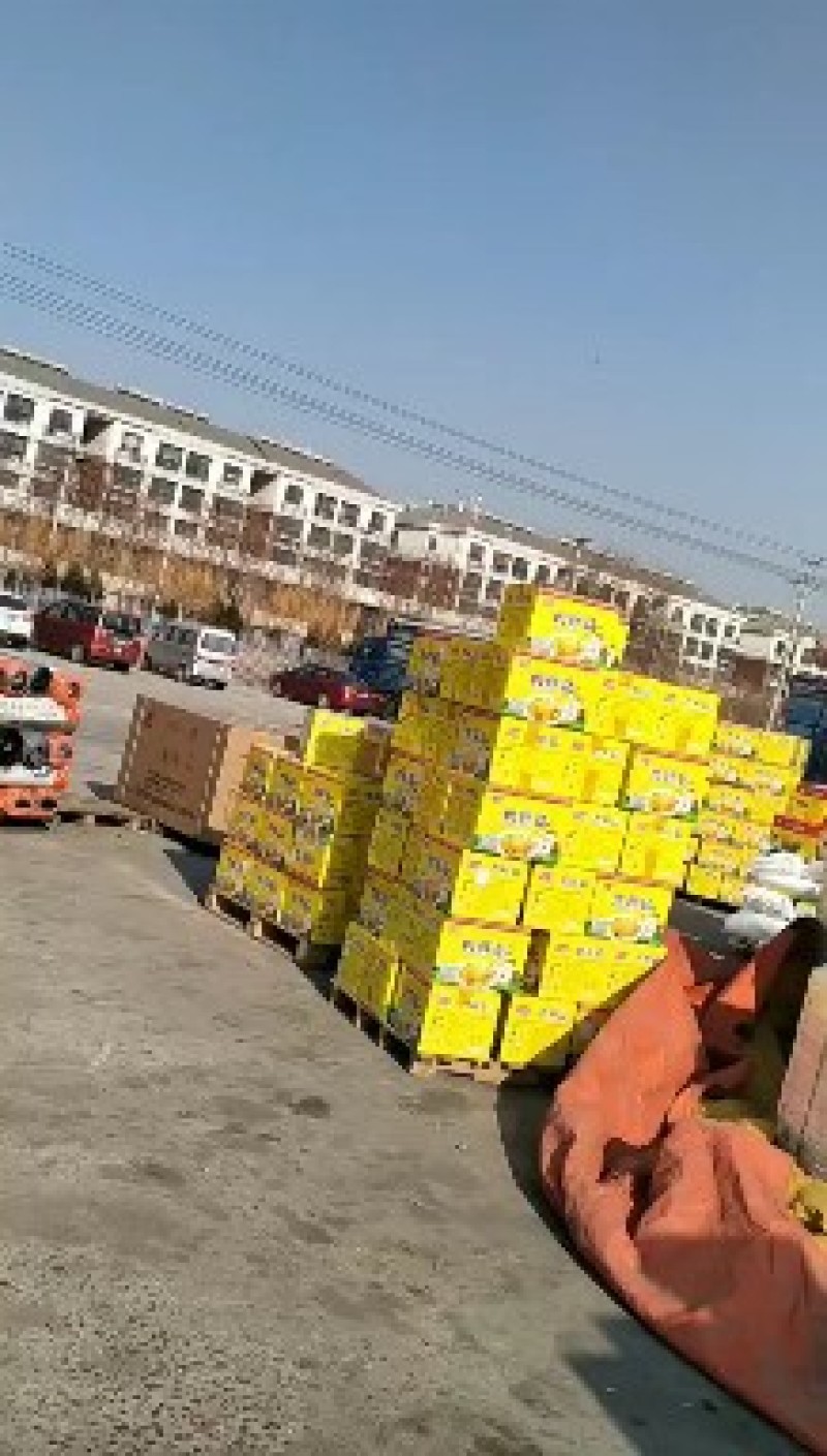 亿凤鲜餐饮食堂酒店专用40斤装样品全国招商