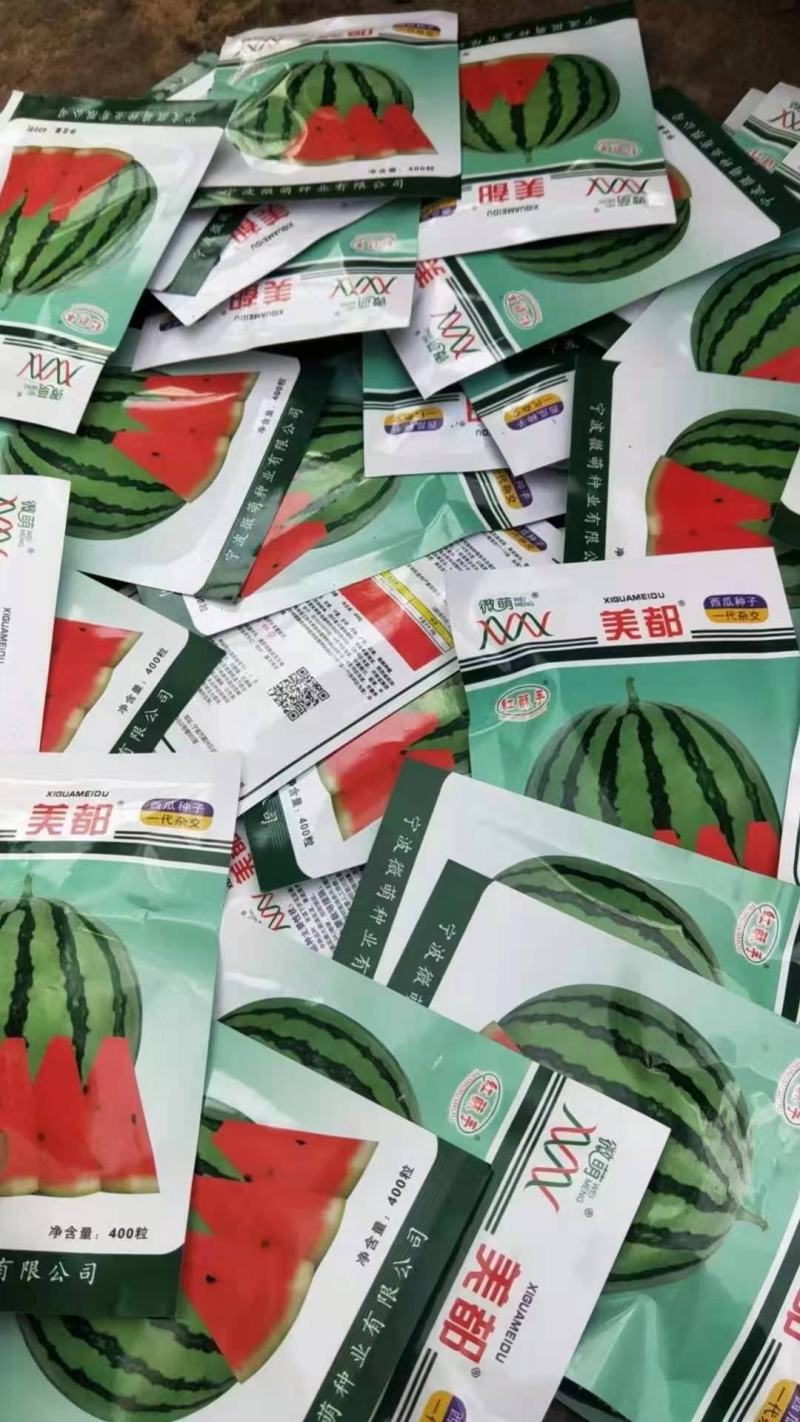 美都西瓜苗直播苗/嫁接苗基地直发皮薄肉厚瓜苗厂直发