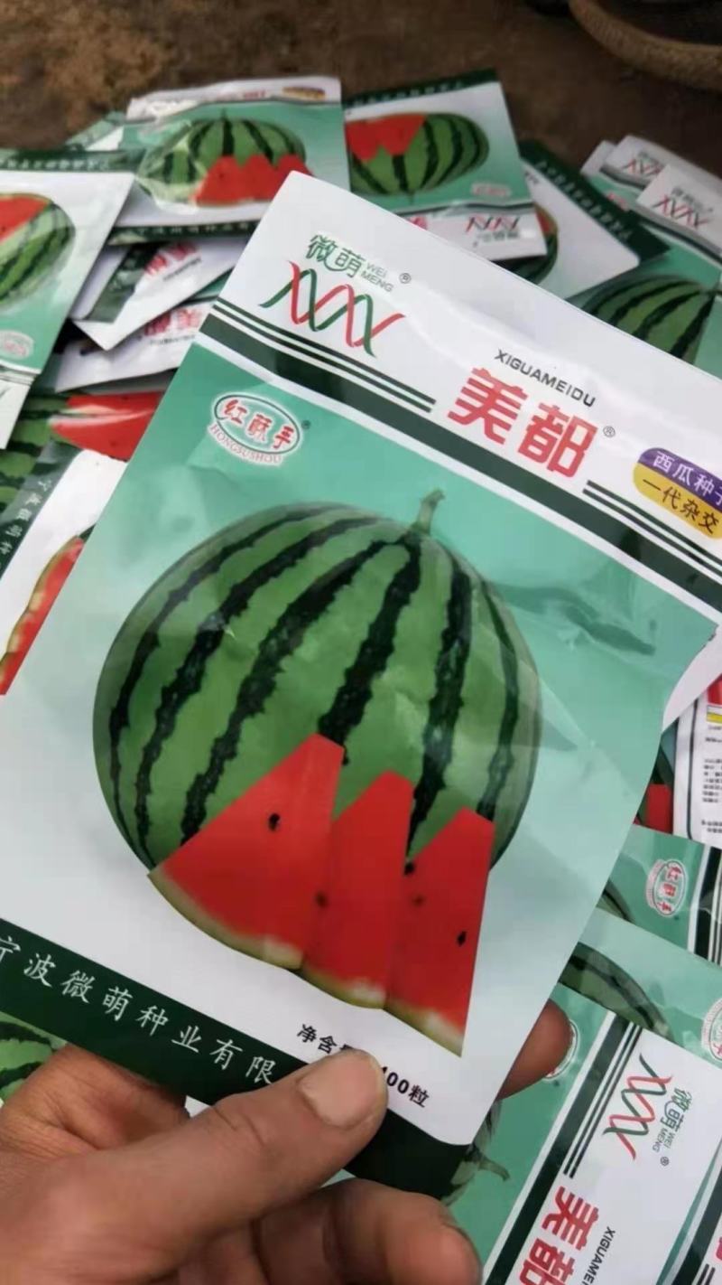 美都西瓜苗直播苗/嫁接苗基地直发皮薄肉厚瓜苗厂直发