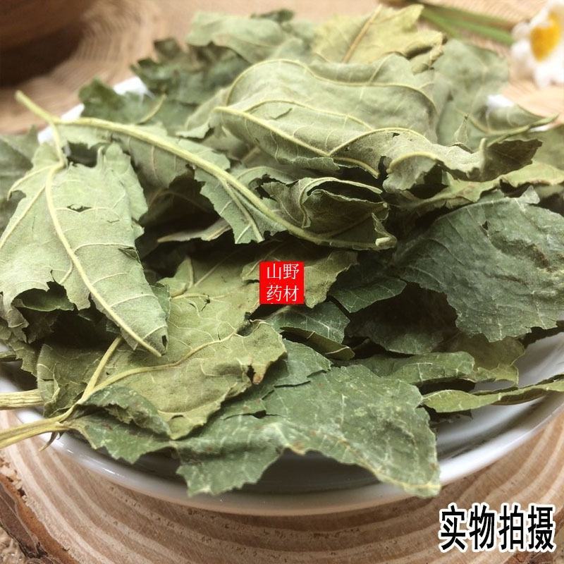 云南中药材桑叶霜后桑叶冬桑叶干桑叶500g包邮