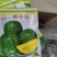特小凤/黄小玉/小黄瓤西瓜苗直播苗/嫁接苗基地直发