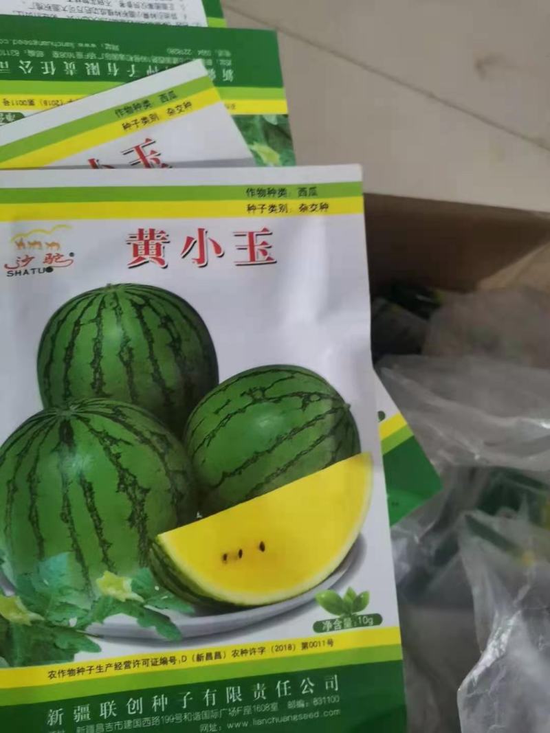 特小凤/黄小玉/小黄瓤西瓜苗直播苗/嫁接苗基地直发