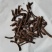 仙茅统货批发诚信经营支持混批一件代发1000克起