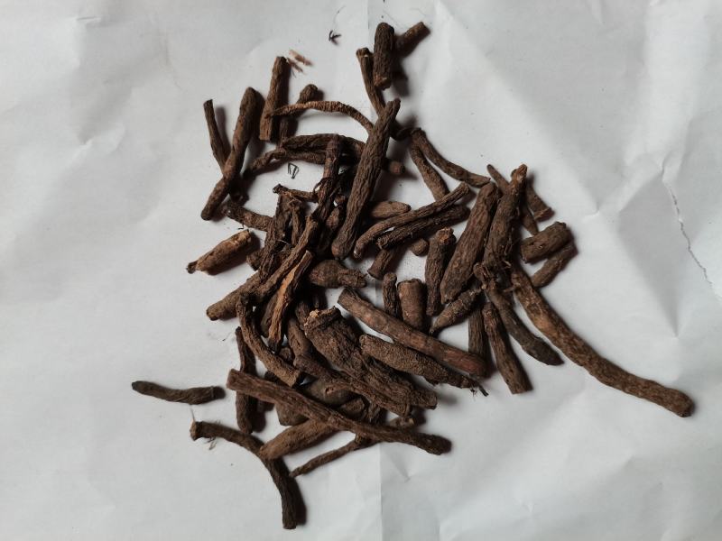 仙茅统货批发诚信经营支持混批一件代发1000克起
