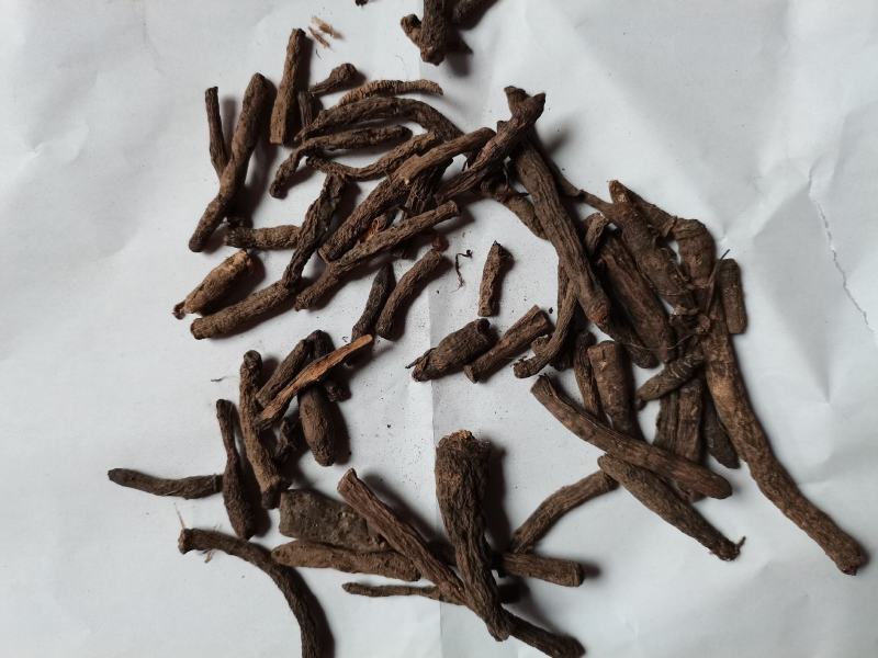 仙茅统货批发诚信经营支持混批一件代发1000克起